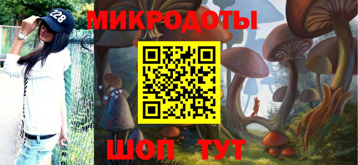 Нижнеудинск  купить  цена  Вход с VPN  Псилоцибиновые грибы Cubensis 