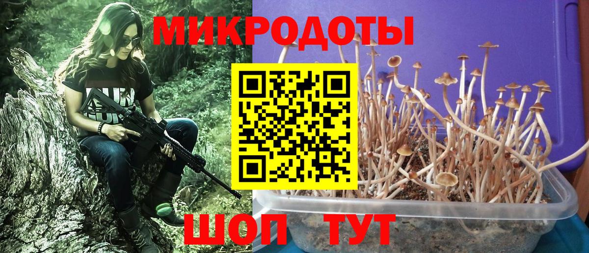 Галлюциногенные грибы GOLDEN TEACHER Нижнеудинск